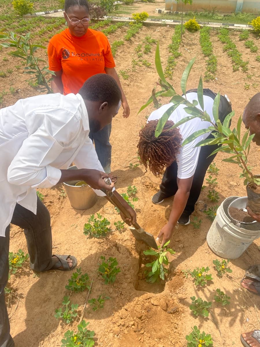 Tree planting community effort