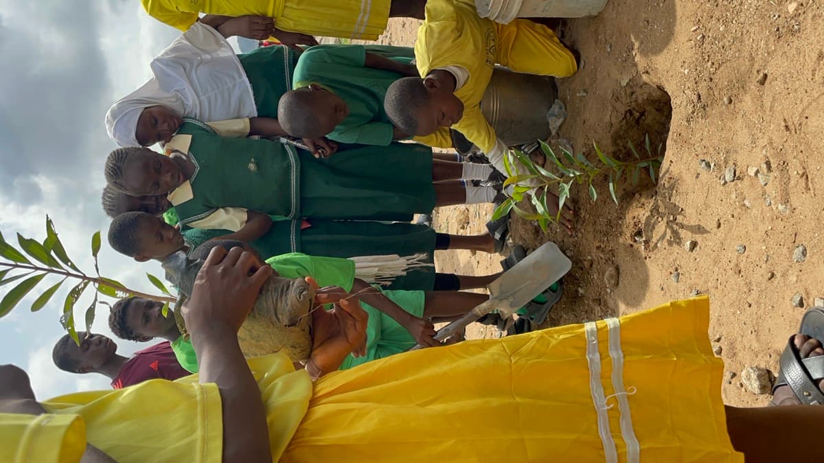 Children planting trees